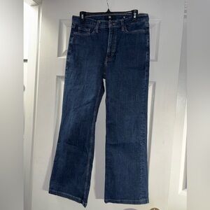Banana Republic Dark Blue Denim Jeans